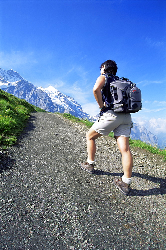 Trekking at Kleine Scheidigg, Bernese Oberland, Switzerland, Europe