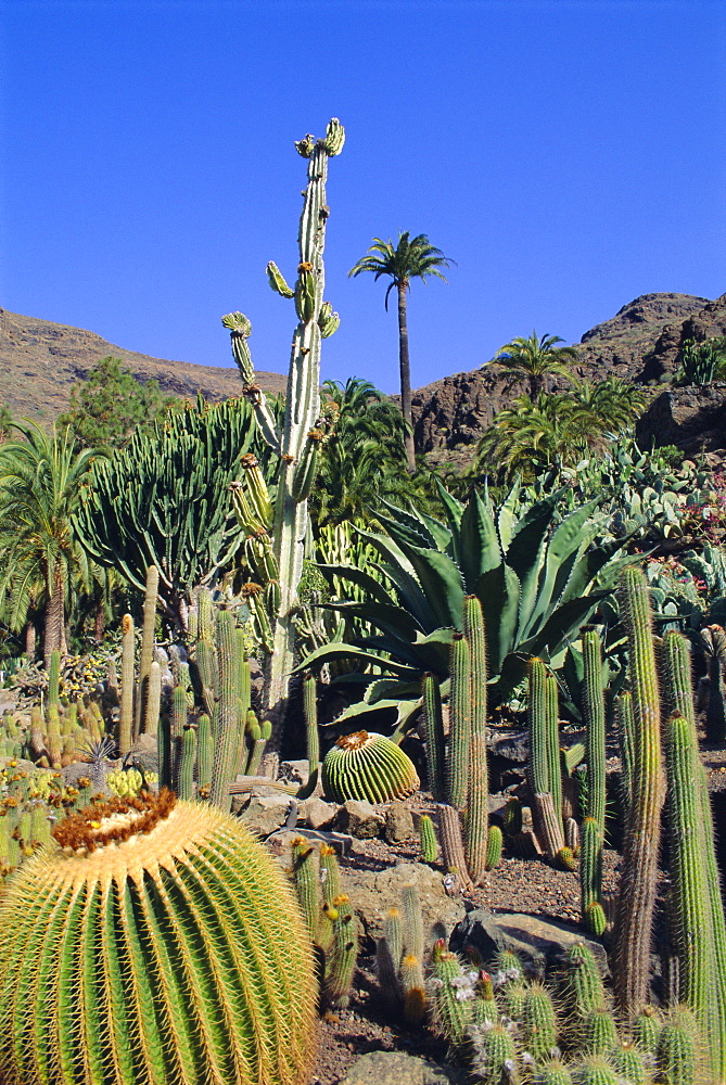 Palmitos Park near Maspalomas, Gran Canaria, Canary Islands, Spain