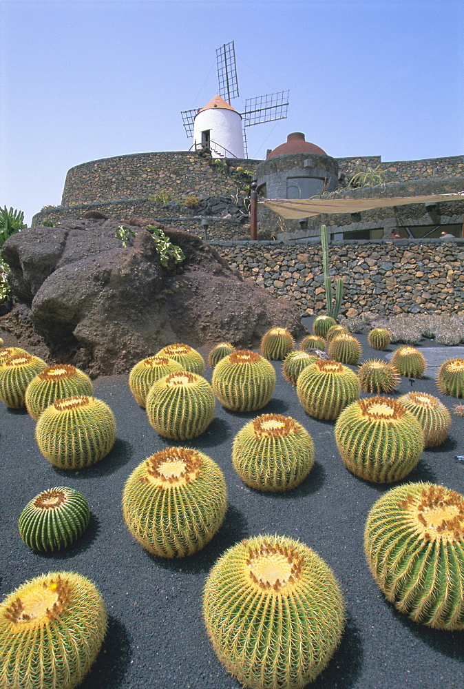 Jardin de Cactus, near Guatiza, Lanzarote, Canary Islands, Atlantic, Spain, Europe