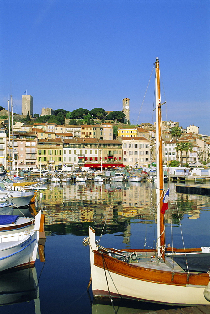 Port, Cannes, Cote d'Azur, Alpes-Maritimes, Provence, France, Europe