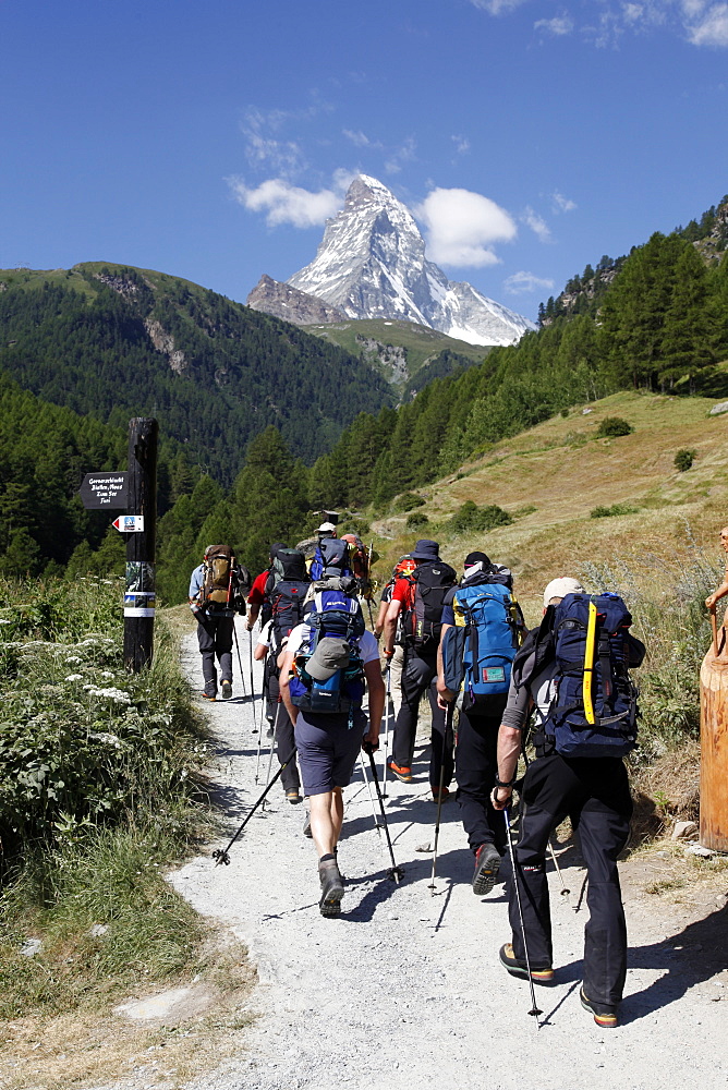 Hikers at Winkelmatten heading towards the Matterhorn, Zermatt, Valais, Swiss Alps, Switzerland, Europe