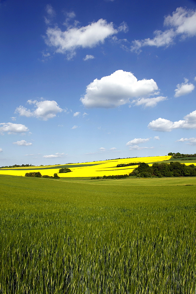 Agricultural landscape at Saargau near Kirf, Rhineland-Palatinate, Germany, Europe