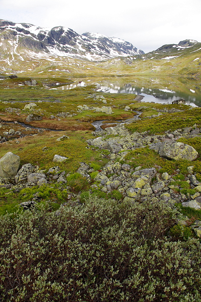 Hardangervidda, Telemark, Norway, Scandinavia, Europe