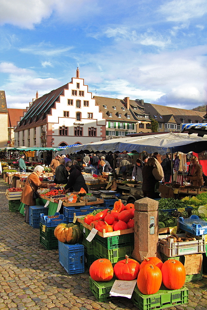 Market at Minster Square (Munsterplatz), Freiburg, Baden-Wurttemberg, Germany, Europe