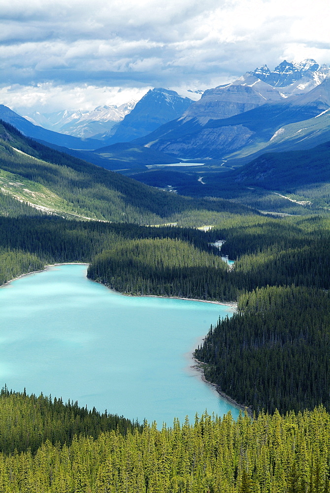 Peyto Lake, Banff National Park, UNESCO World Heritage Site, Alberta, Rocky Mountains, Canada, North America