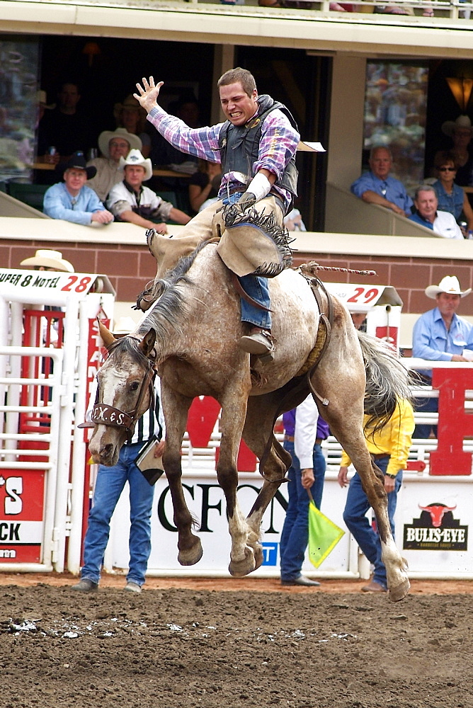 Calgary Stampede, Stampede Park, Calgary, Alberta, Canada, North America