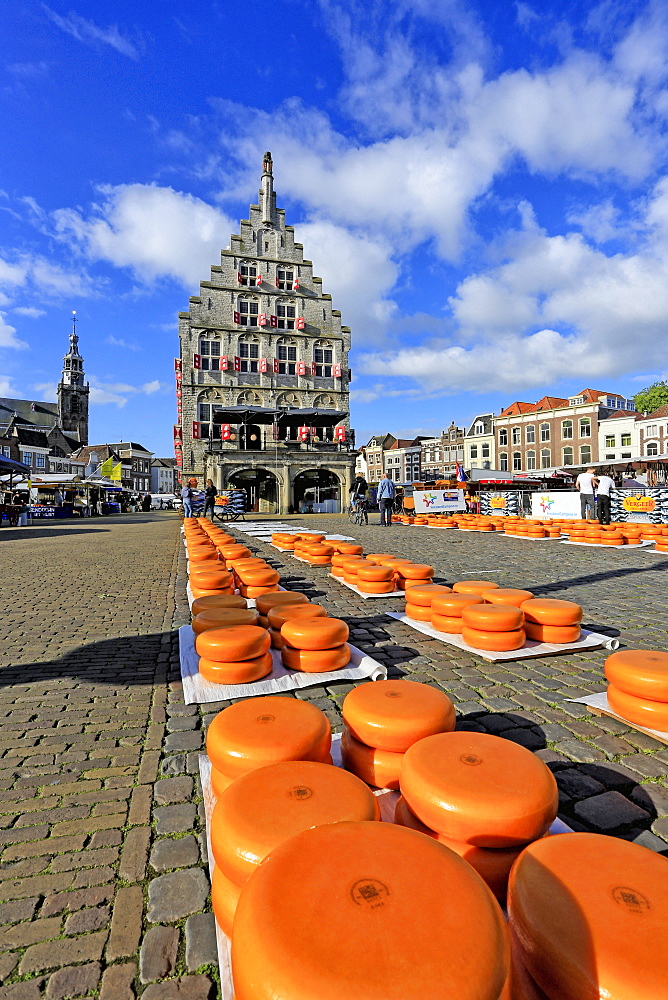 Cheese Market in Gouda, South Holland, Netherlands, Europe