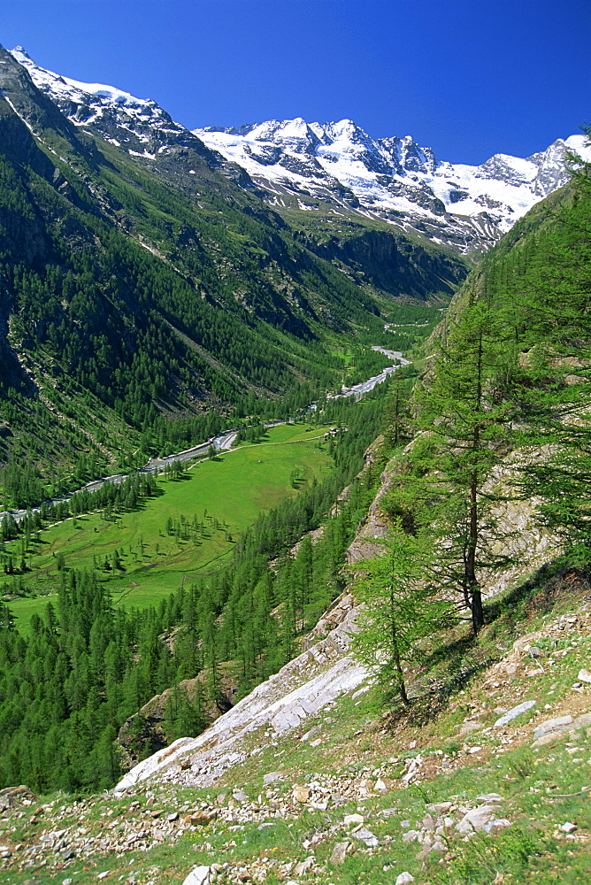 The Valnontey Valley at Cogne, with snow covered mountains beyond, in the Gran Paradiso National Park, in the Valle d'Aosta, Italy, Europe