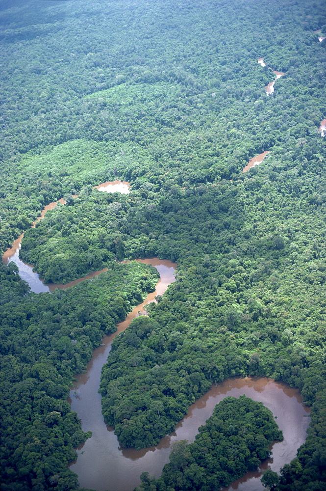 Aerial view of the meandering Belait River, Brunei, island of Borneo, Asia