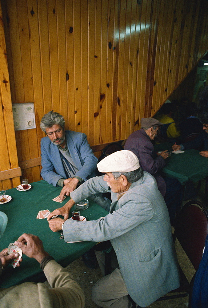 Phaeton drivers playing cards, Buyuk Ada, Princes Islands (Kizil Adalar), Turkey, Eurasia