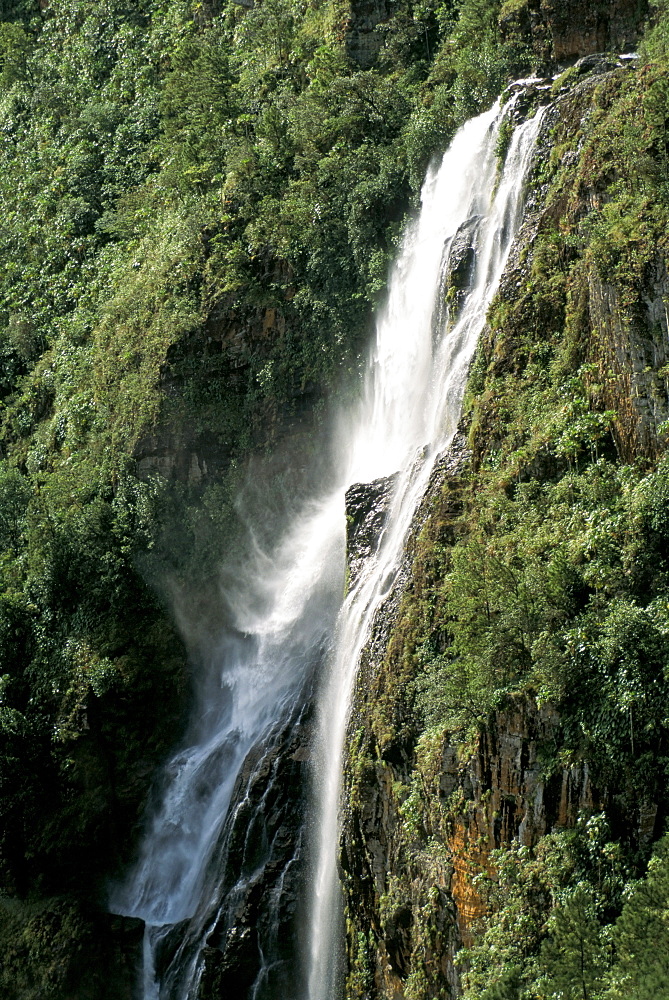 King Vulture Falls, Mountain Pine Ridge, Belize, Central America