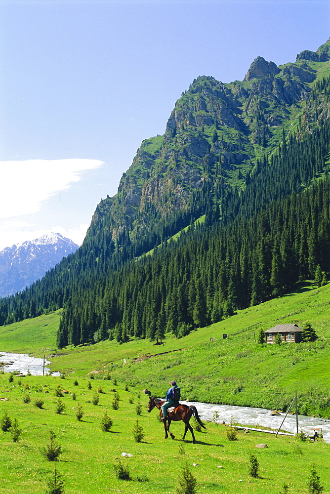 Man on horse at Altyn-Arashan near Kara-Kol, Kyrgyzstan, Central Asia