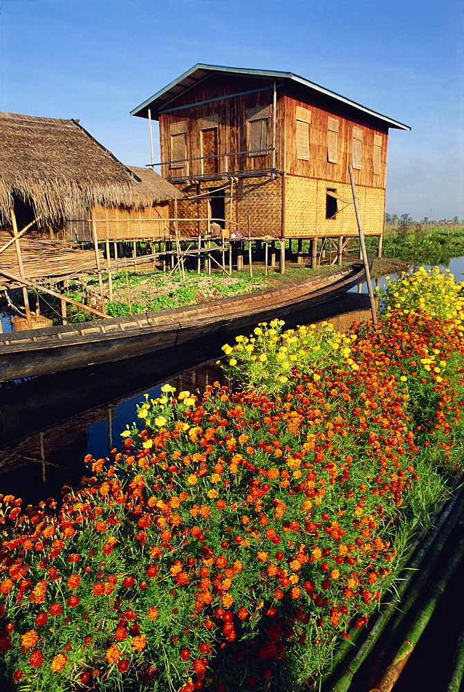 House on stilts, with marigolds, Inle Lake, Myanmar (Burma), Asia