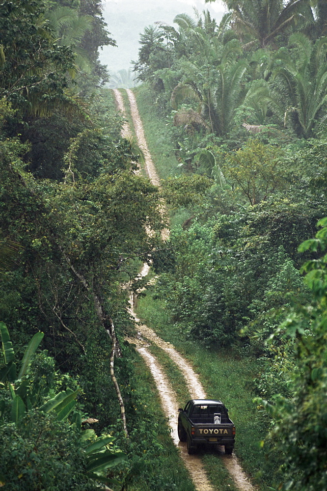 Driving in the rain forest, Lubaantun, Toledo District, Belize, Central America