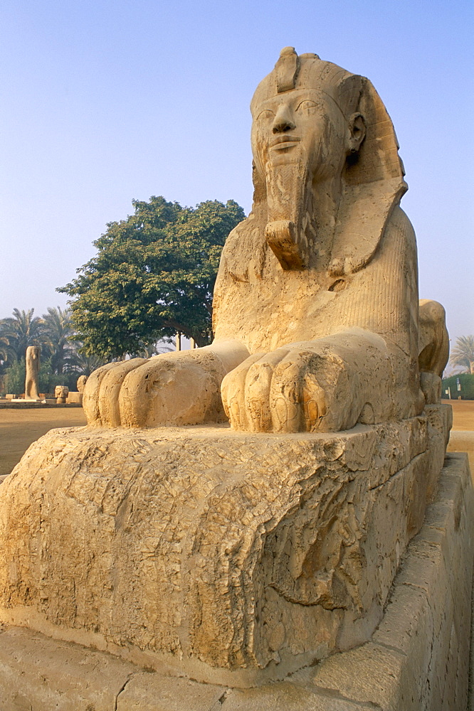 Sphinx dating from the New Kingdom, Memphis, UNESCO World Heritage Site, Egypt, North Africa, Africa