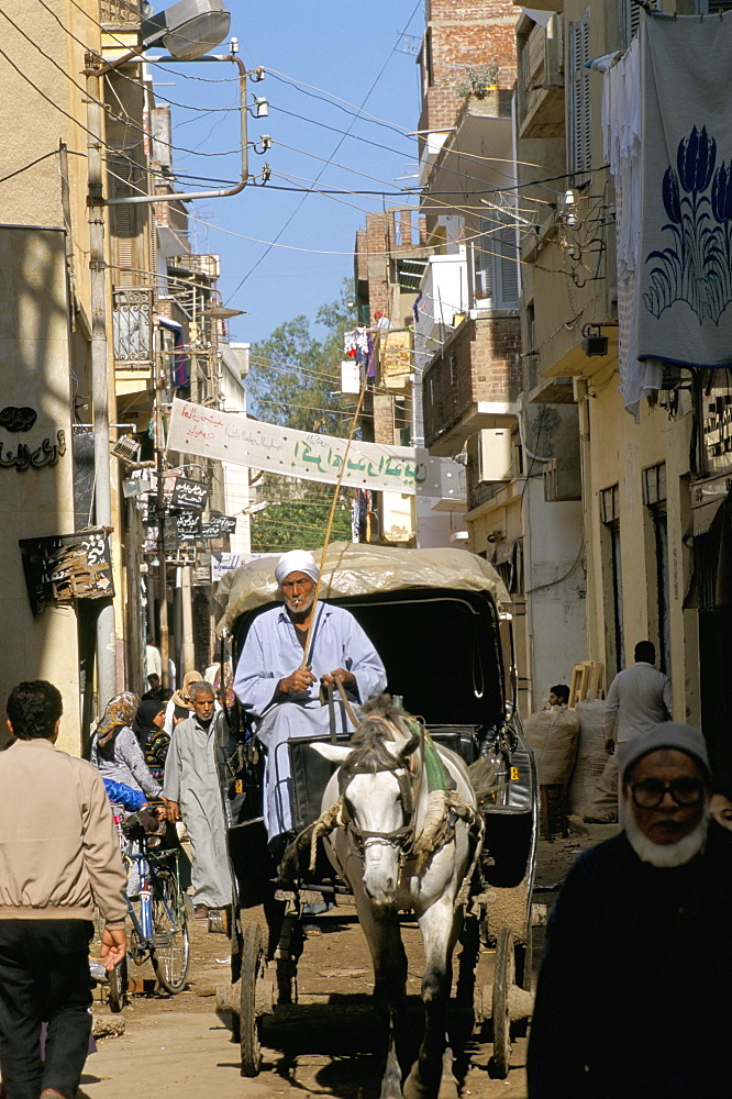 Horse and buggy, back streets, Rosetta, Delta area, Egypt, North Africa, Africa