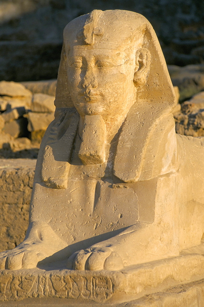 Avenue of the sphinxes, Temple of Luxor, UNESCO World Heritage Site, Luxor, Egypt, North Africa, Africa