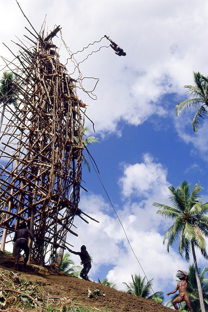 Silhouette of diver, land diving, Pentecost Island, Vanuatu, Pacific Islands, Pacific