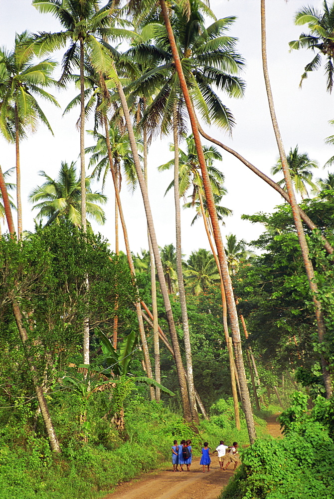 School children walking through coconut plantation, Taveuni Island, Fiji, Pacific Islands, Pacific