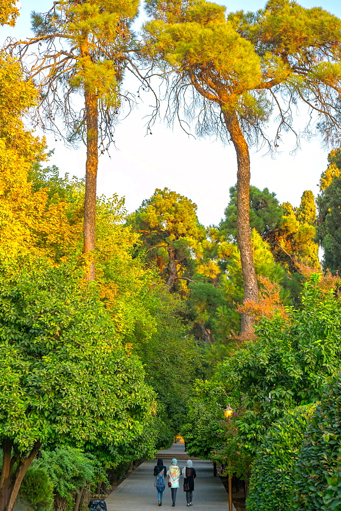 Three Iranian women walking through the Bagh-e Eram (Garden of Paradise), Shiraz, Iran, Middle East