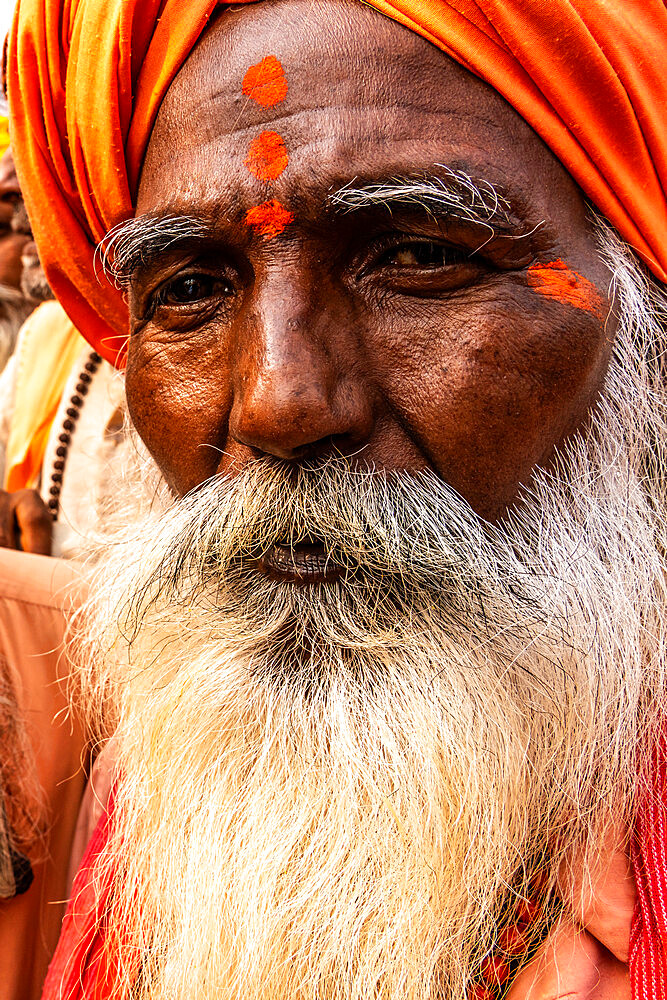 Head shot portrait of wise looking senior sadhu (holy man) dressed in orange with a bushy white beard, Uttar Pradesh, India, Asia