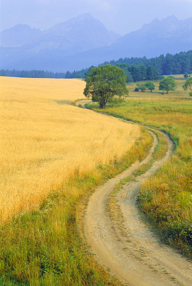 Winding track, High Tatra range, Poprad, Slovakia, Europe