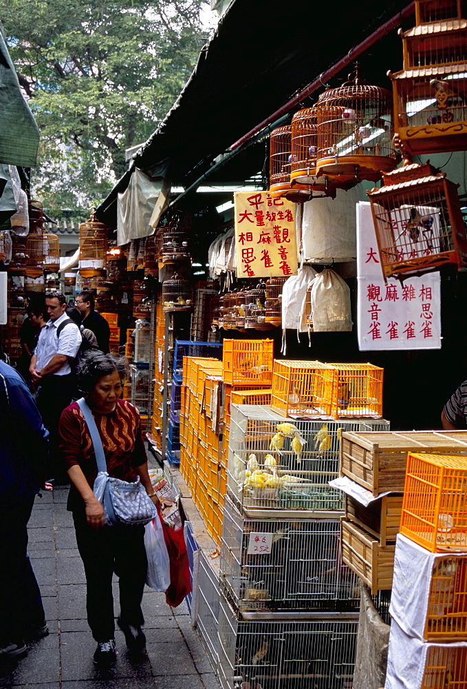 Yuen Po Street Bird Garden, Mong Kok, Kowloon, Hong Kong, China, Asia