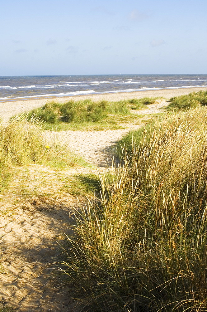 Beach, Southwold, Suffolk, England, United Kingdom, Europe