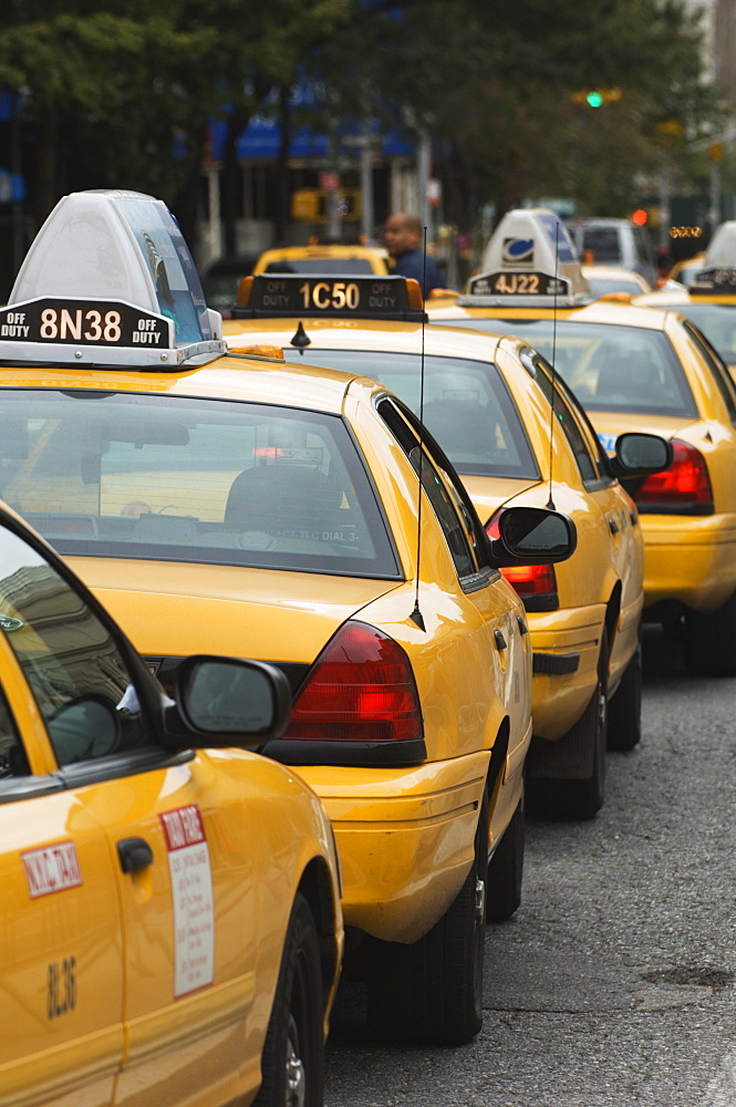 Taxi cabs, Manhattan, New York City, New York, United States of America, North America