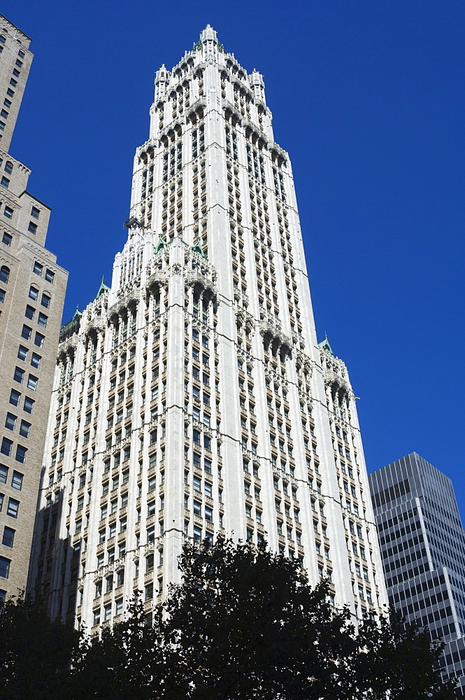 The Woolworth Building, Manhattan, New York City, New York, United States of America, North America