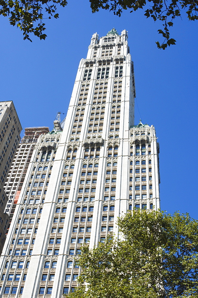 The Woolworth Building, Manhattan, New York City, New York, United States of America, North America