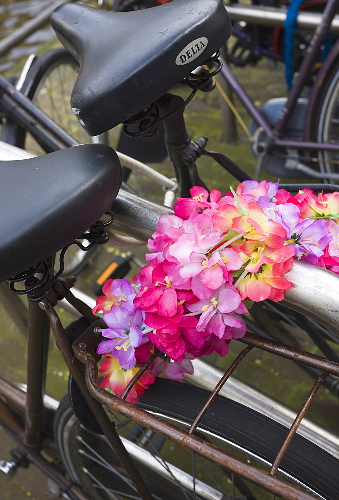 Old bicycles and flower chain, Amsterdam, Netherlands, Europe