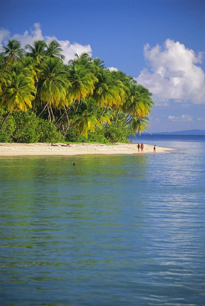 Beach at Pigeon Point on the southwest coast of the island, Tobago, Caribbean, West Indies, Central America