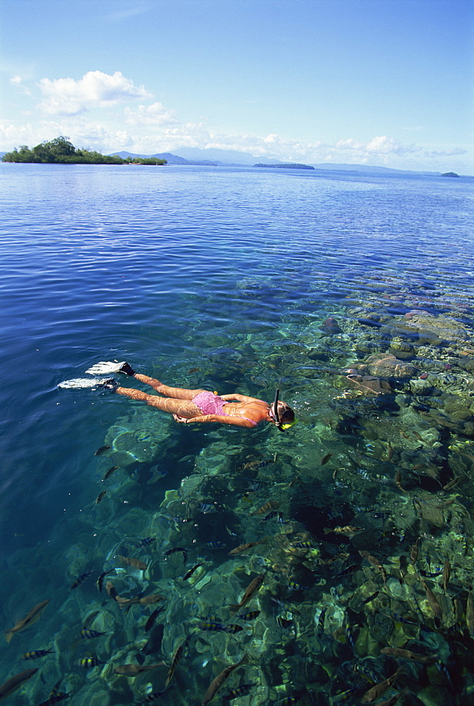 Tourist snorkelling in Marovo Lagoon, Solomon Islands, Pacific Islands, Pacific