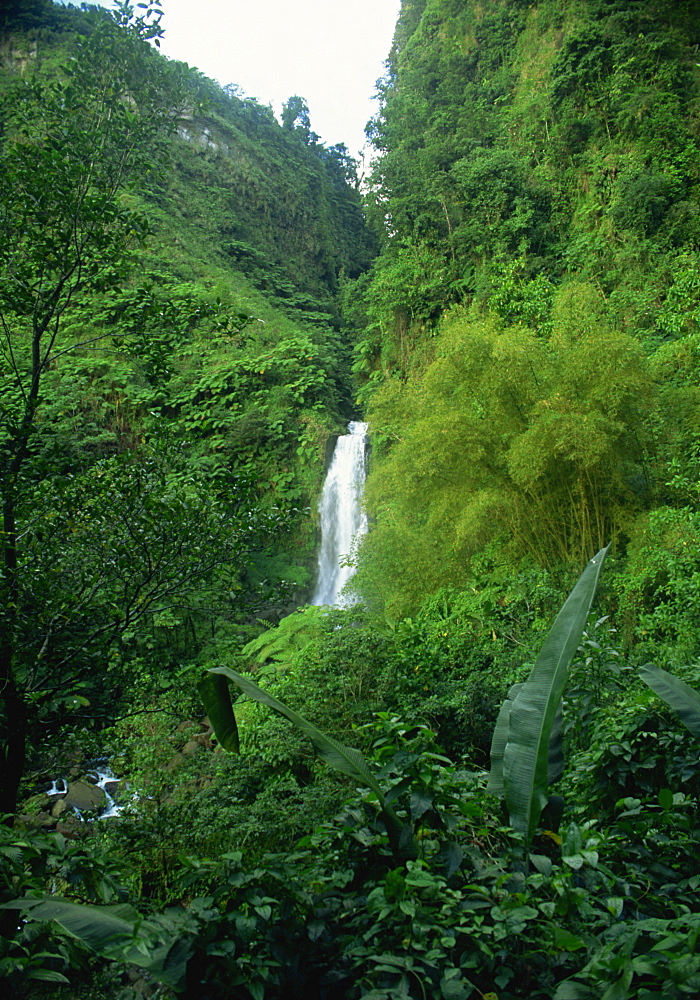 Trafalgar Falls, Dominica, Windward Islands, West Indies, Caribbean, Central America