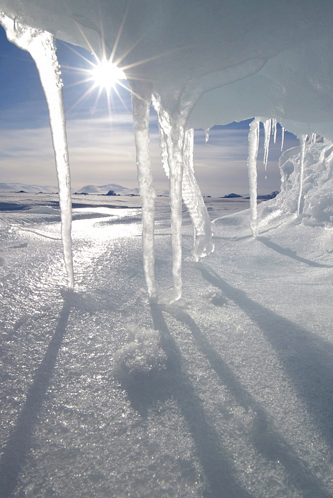 Icicles melting in the Arctic midnight sun, Nunavut, Canada, North America