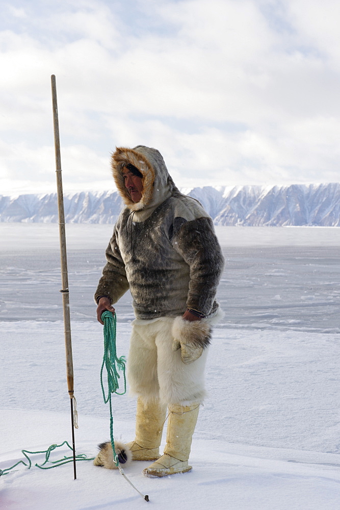 Inuit or Inughuit subsistence hunter in traditional clothing for winter and spring of seal skin boots (Kamiks), polar bear fur trousers, seal skin mitts and parka, Greenland, Denmark, Polar Regions