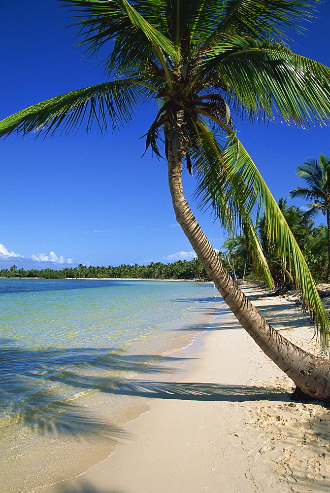 Bavaro Beach, Dominican Republic, West Indies, Caribbean, Central America