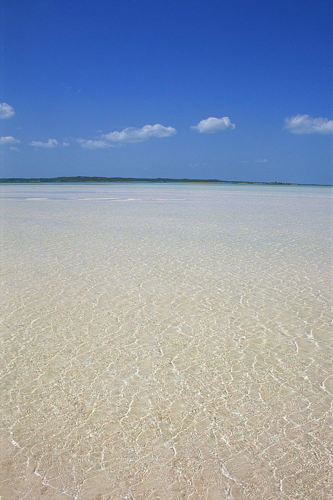 Tropical seascape, Harbour Island, Bahamas, West Indies, Central America