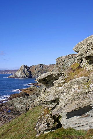 Gammon Head and Bolt Head, Devon, England, United Kingdom, Europe