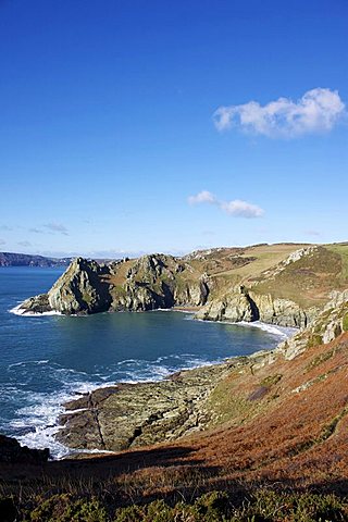 Gammon Head and Elander Cove, Devon, England, United Kingdom, Europe