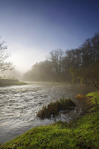 Misty morning, Exe Valley, Devon, England, United Kingdom, Europe