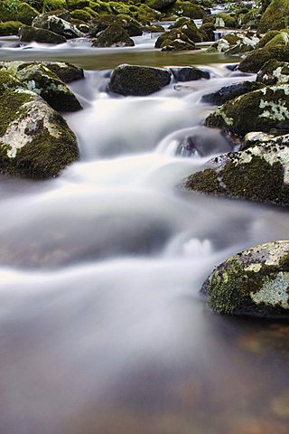 River Teign, Dartmoor National Park, Devon, England, United Kingdom, Europe