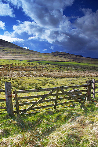 Ben Clach near Crieff, Perthshire, Scotland, United Kingdom, Europe