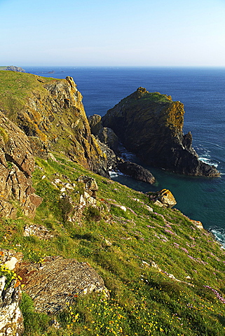 Lion Rock, Kynance Cove, The Lizard, Cornwall, England, United Kingdom, Europe