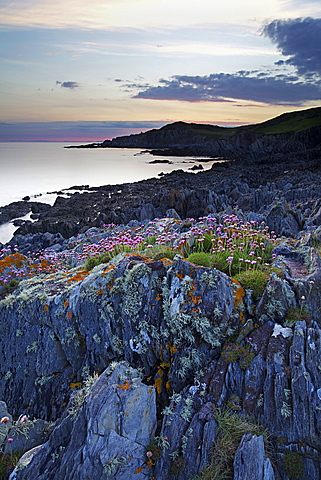 Bull Point, North Devon, Devon, England, United Kingdom, Europe