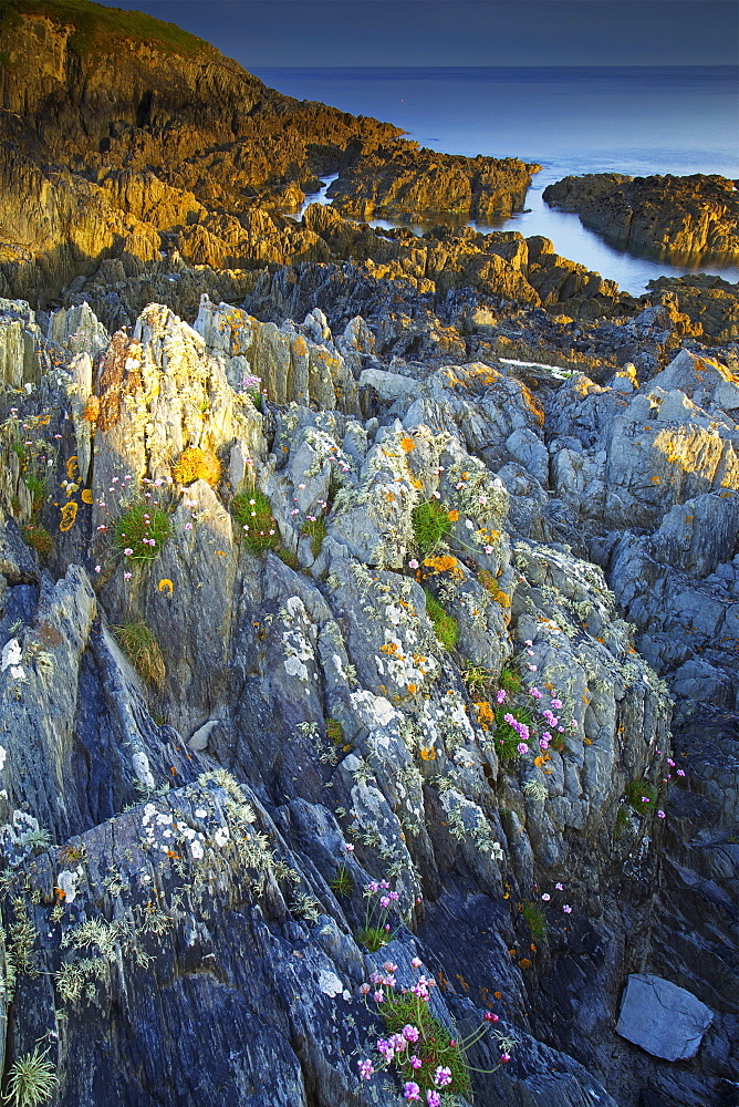 Morte Point, Devon, England, United Kingdom, Europe