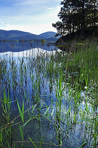 Derwent Water, Lake District National Park, Cumbria, England, United Kingdom, Europe