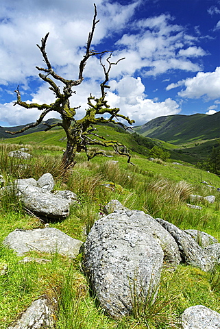 Woundale, Lake District National Park, Cumbria, England, United Kingdom, Europe