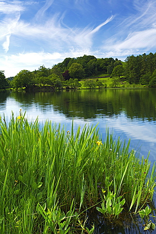 Loughrigg Tarn, Lake District National Park, Cumbria, England, United Kingdom, Europe